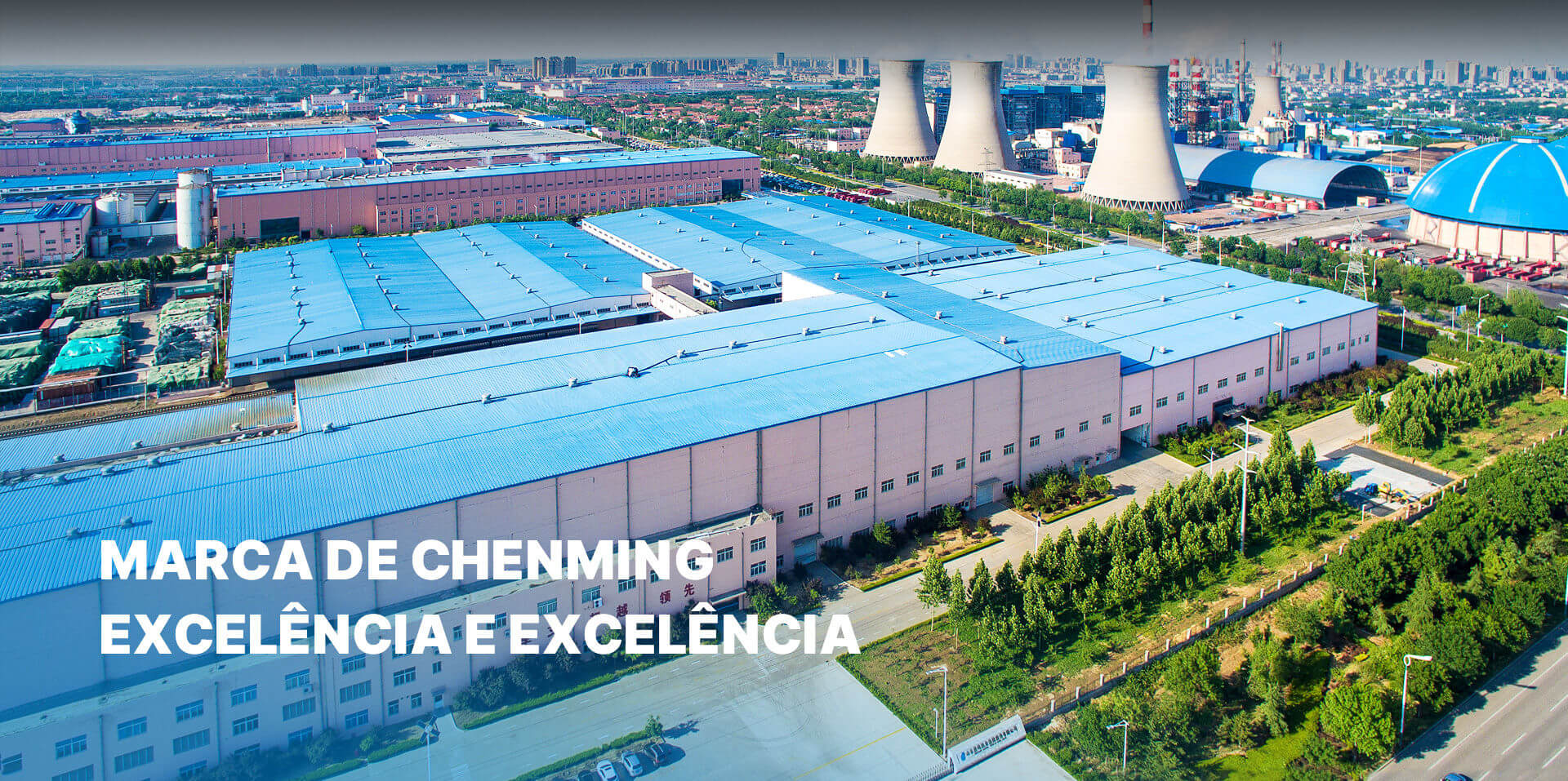 Shandong Chenming Paper Holdings Group Co., Ltd.